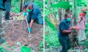 Heboh! Pasangan Anak Punk di Jambi Diduga Kubur Bayinya Diam-Diam di Kebun Warga