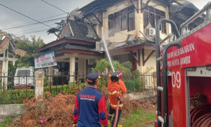 Kantor Dinas Pertanian Tanaman Pangan Provinsi Jambi Terbakar, Kerugian Capai Ratusan Juta