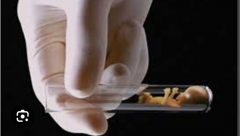 Pemprov Papua Tengah Luncurkan Program Bayi Tabung Gratis