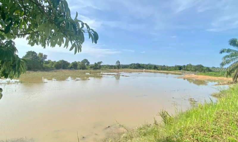 Proyek Cetak Sawah 783 Hektar di Batanghari Terendam Banjir, Warga Pertanyakan Perencanaan